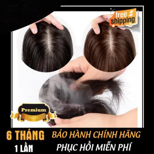 Mái Hói Phủ Bạc Che Thưa Dành Cho Phụ Nữ Tóc Tém 25cm TTN-08